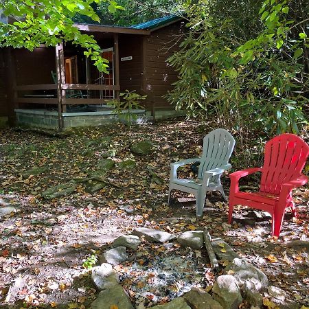 Cozy Cabin Pet Friendly Ada Compatible Maggie Valley Buitenkant foto