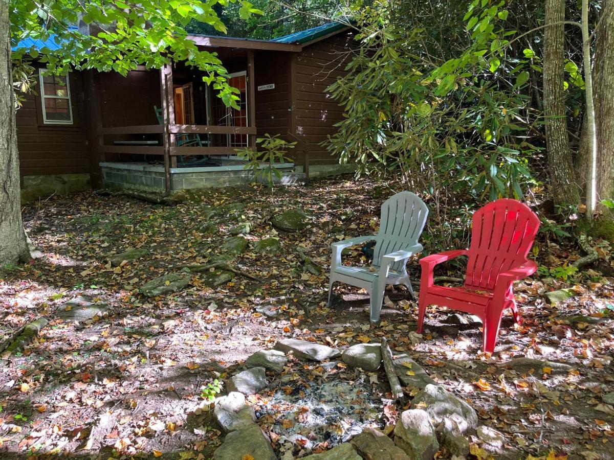 Cozy Cabin Pet Friendly Ada Compatible Maggie Valley Buitenkant foto