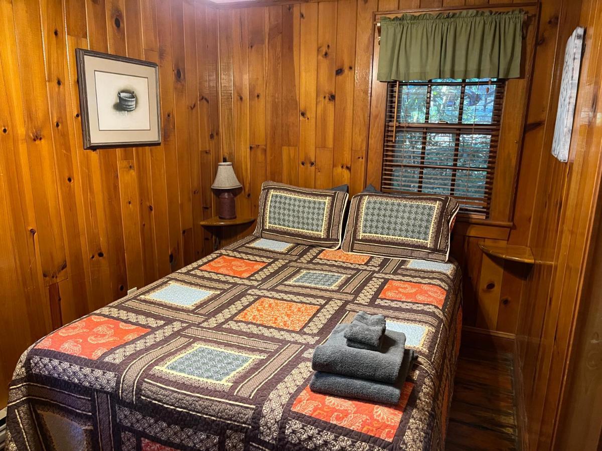 Cozy Cabin Pet Friendly Ada Compatible Maggie Valley Buitenkant foto